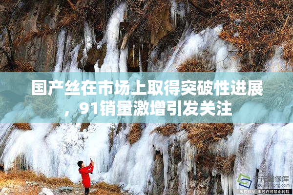 国产丝在市场上取得突破性进展，91销量激增引发关注
