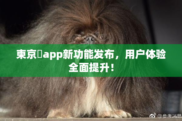 柬京埶app新功能发布，用户体验全面提升！