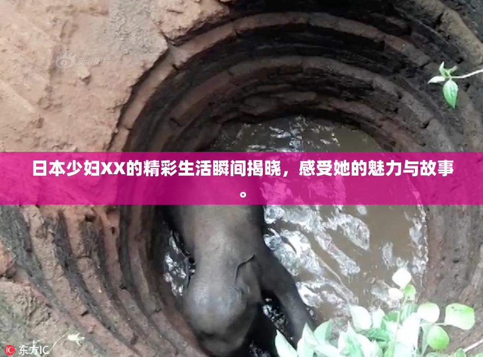 日本少妇XX的精彩生活瞬间揭晓，感受她的魅力与故事。