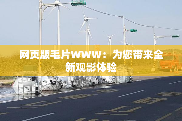 网页版毛片WWW：为您带来全新观影体验