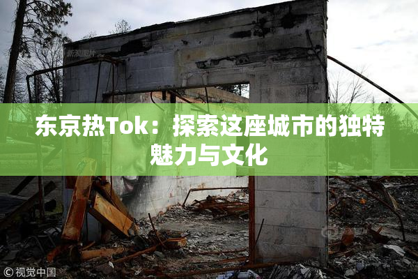 东京热Tok：探索这座城市的独特魅力与文化