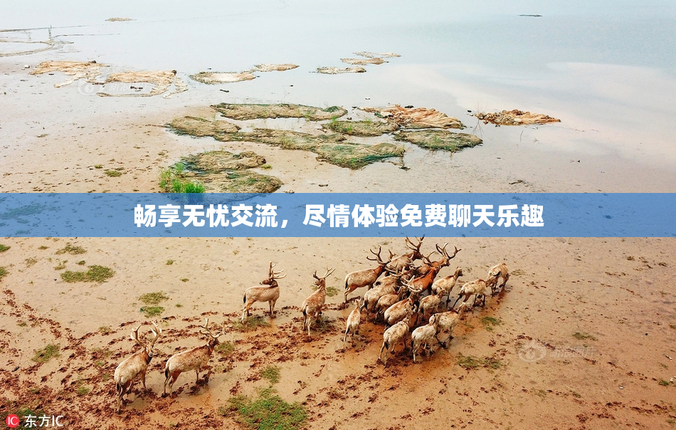 畅享无忧交流，尽情体验免费聊天乐趣