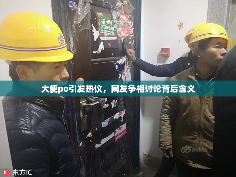 大便po引发热议，网友争相讨论背后含义