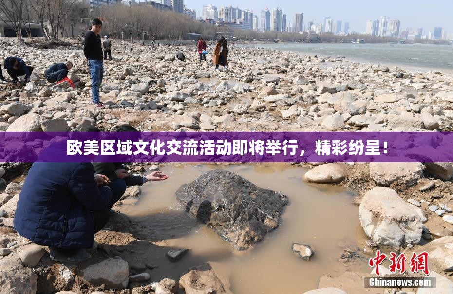 欧美区域文化交流活动即将举行，精彩纷呈！