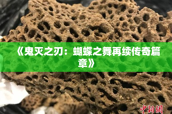 《鬼灭之刃：蝴蝶之舞再续传奇篇章》