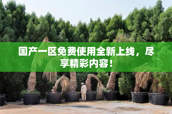 国产一区免费使用全新上线，尽享精彩内容！