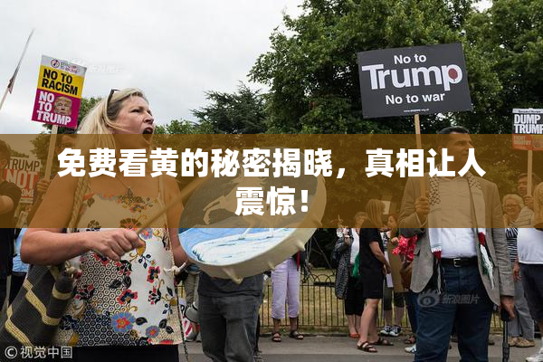 免费看黄的秘密揭晓，真相让人震惊！
