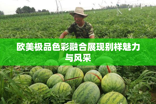 欧美极品色彩融合展现别样魅力与风采