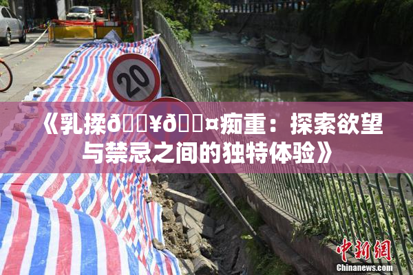 《乳揉🔥🖤痴重：探索欲望与禁忌之间的独特体验》