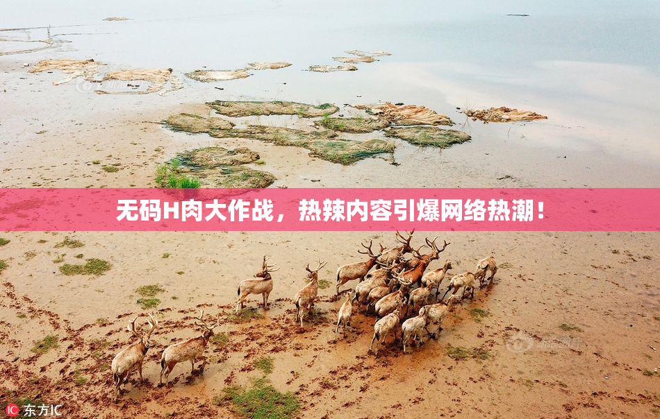 无码H肉大作战，热辣内容引爆网络热潮！