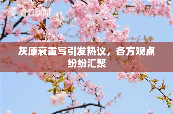 灰原衰重写引发热议，各方观点纷纷汇聚