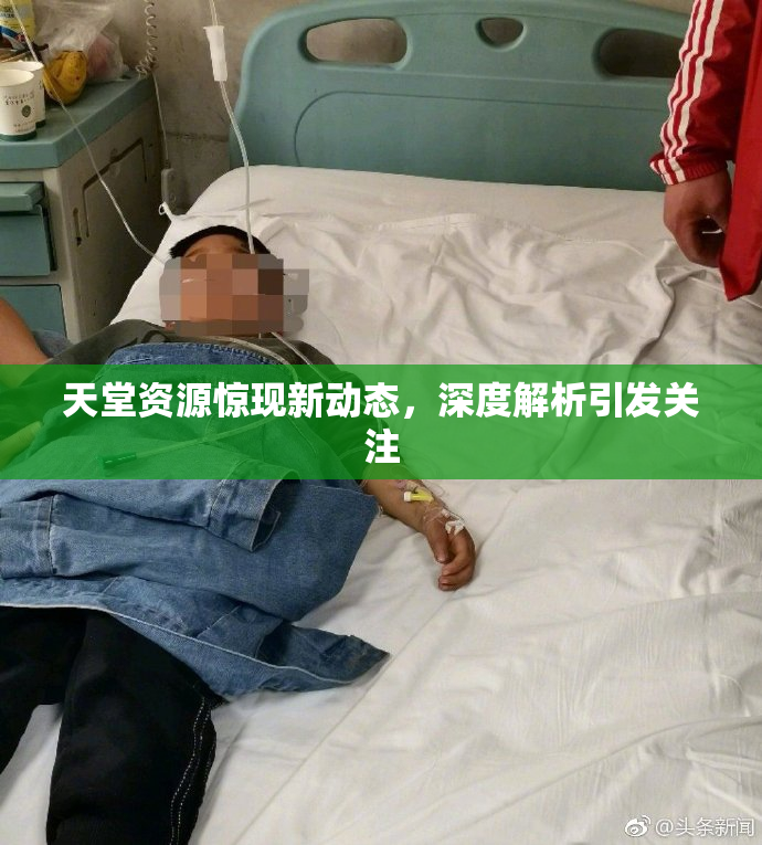 天堂资源惊现新动态，深度解析引发关注