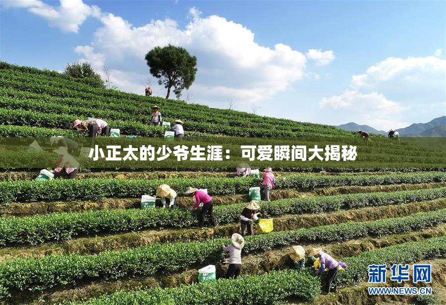 小正太的少爷生涯：可爱瞬间大揭秘