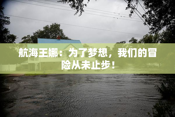 航海王娜：为了梦想，我们的冒险从未止步！
