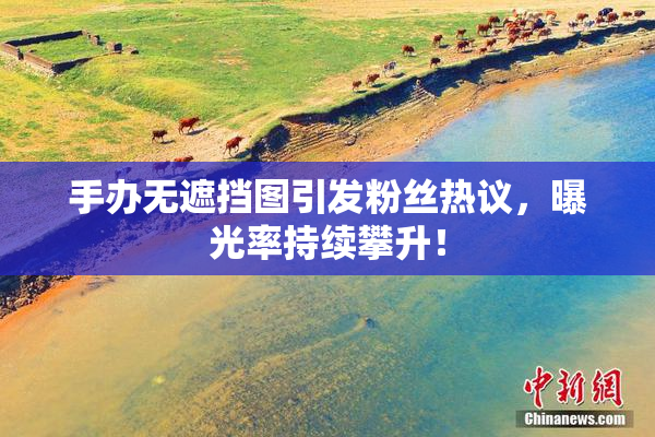 手办无遮挡图引发粉丝热议，曝光率持续攀升！