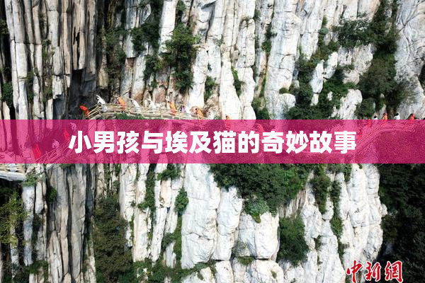 小男孩与埃及猫的奇妙故事
