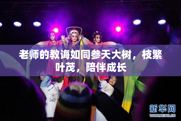 老师的教诲如同参天大树，枝繁叶茂，陪伴成长