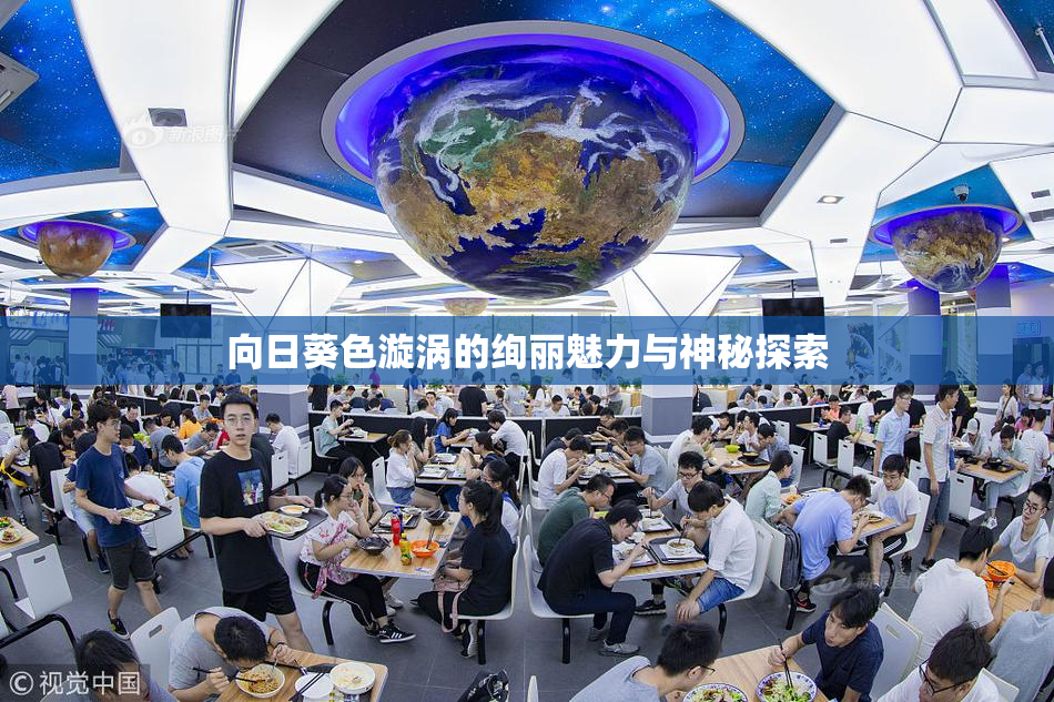 向日葵色漩涡的绚丽魅力与神秘探索