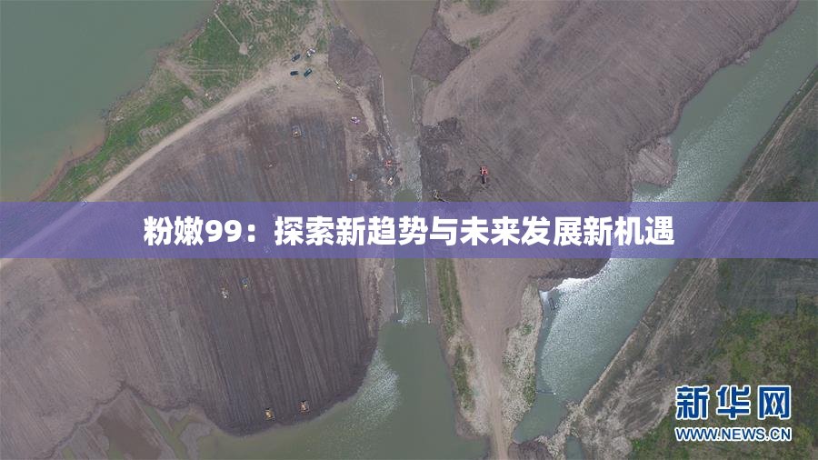 粉嫩99：探索新趋势与未来发展新机遇