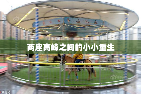 两座高峰之间的小小重生
