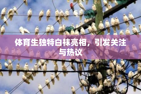 体育生独特白袜亮相，引发关注与热议