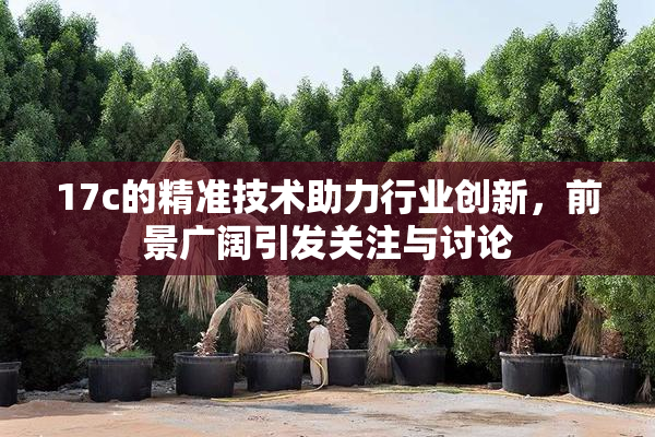 17c的精准技术助力行业创新，前景广阔引发关注与讨论