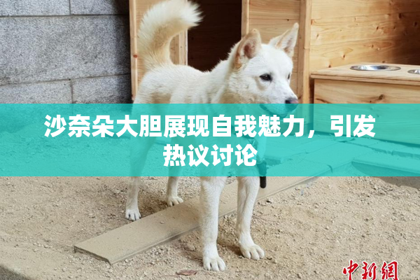 沙奈朵大胆展现自我魅力，引发热议讨论