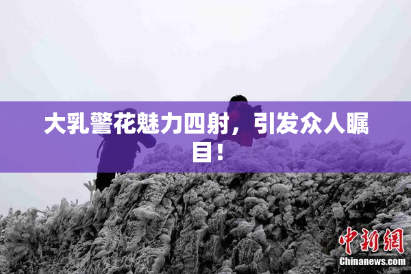 大乳警花魅力四射，引发众人瞩目！