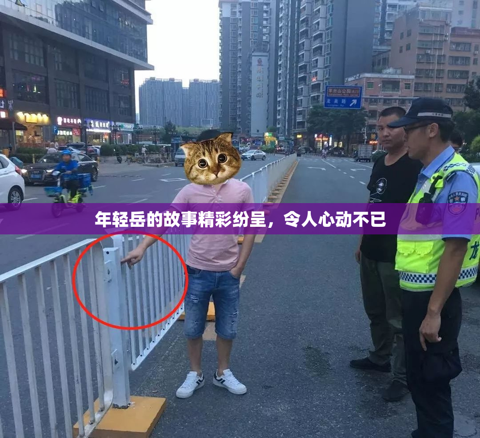 年轻岳的故事精彩纷呈，令人心动不已