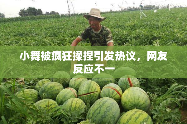 小舞被疯狂揉捏引发热议，网友反应不一