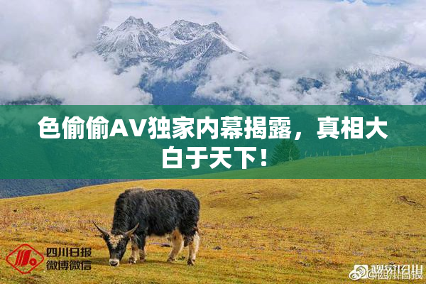 色偷偷AV独家内幕揭露，真相大白于天下！