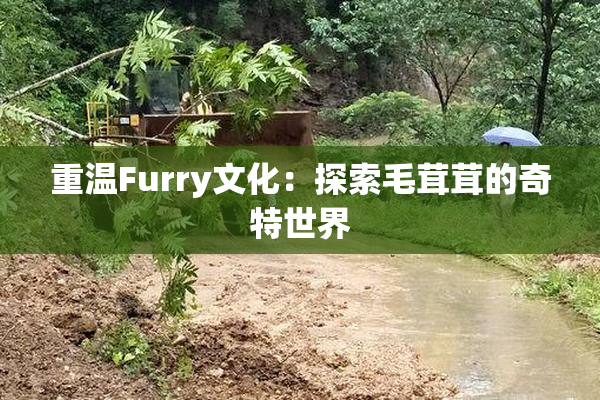 重温Furry文化：探索毛茸茸的奇特世界