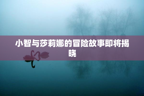 小智与莎莉娜的冒险故事即将揭晓