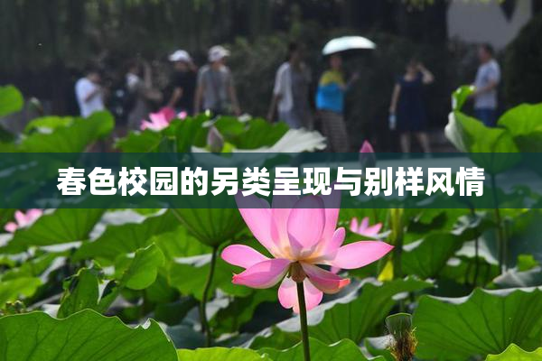 春色校园的另类呈现与别样风情