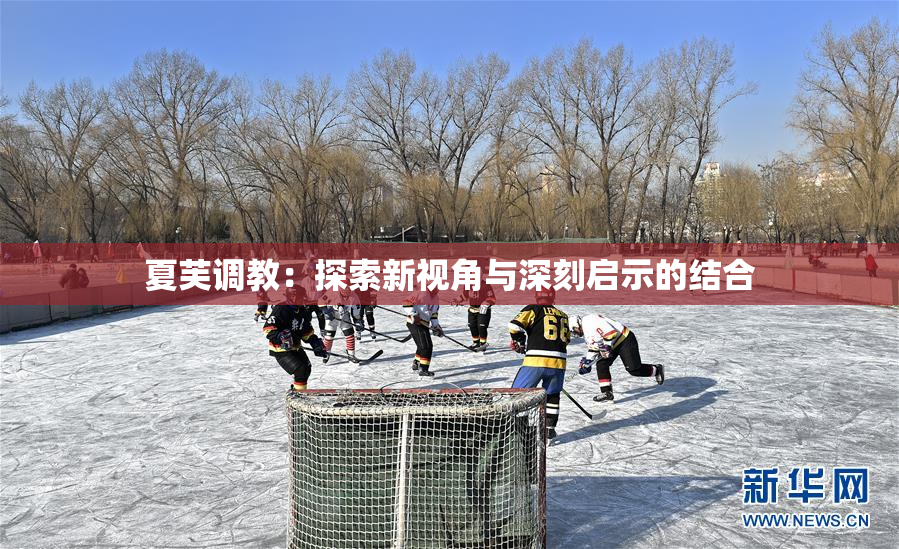 夏芙调教：探索新视角与深刻启示的结合