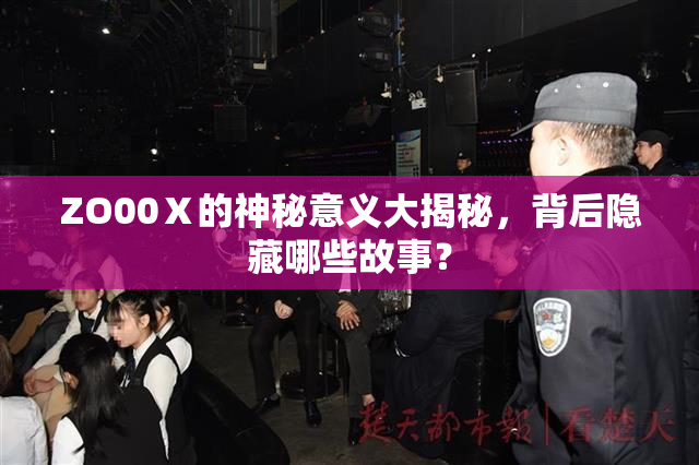 ZO00Ⅹ的神秘意义大揭秘，背后隐藏哪些故事？