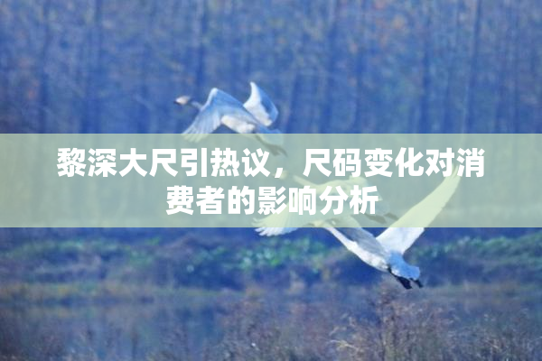 黎深大尺引热议，尺码变化对消费者的影响分析