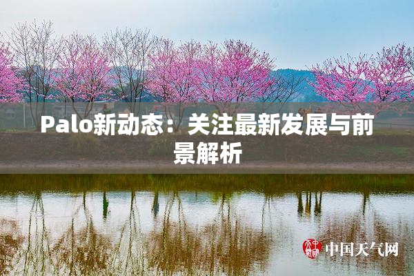 Palo新动态：关注最新发展与前景解析
