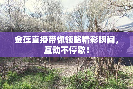 金莲直播带你领略精彩瞬间，互动不停歇！