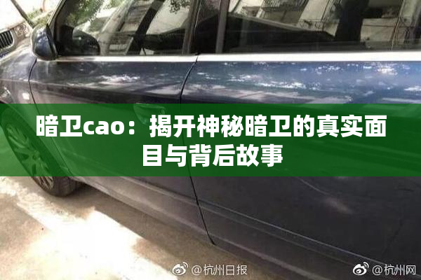 暗卫cao：揭开神秘暗卫的真实面目与背后故事