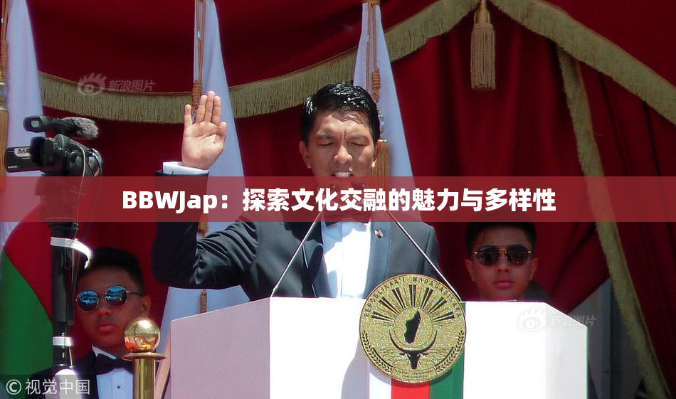 BBWJap：探索文化交融的魅力与多样性