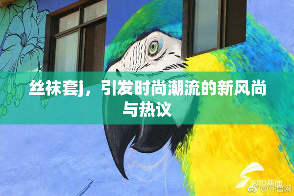 丝袜套j，引发时尚潮流的新风尚与热议