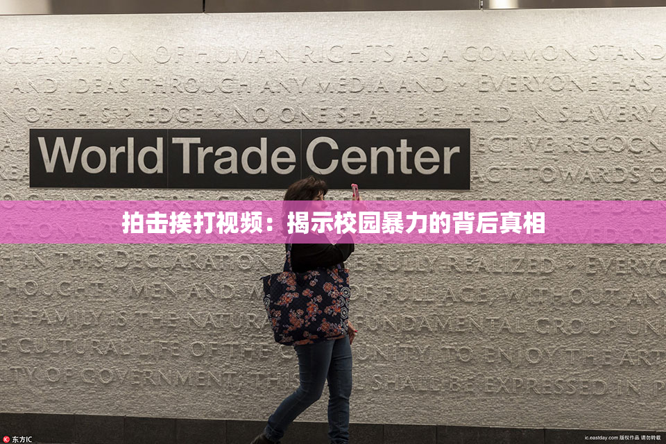 拍击挨打视频：揭示校园暴力的背后真相