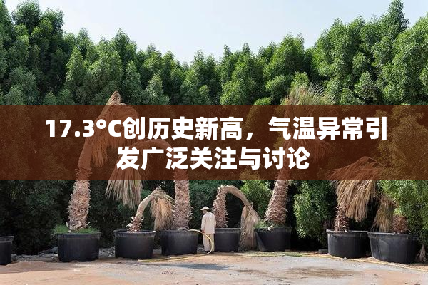 17.3°C创历史新高，气温异常引发广泛关注与讨论