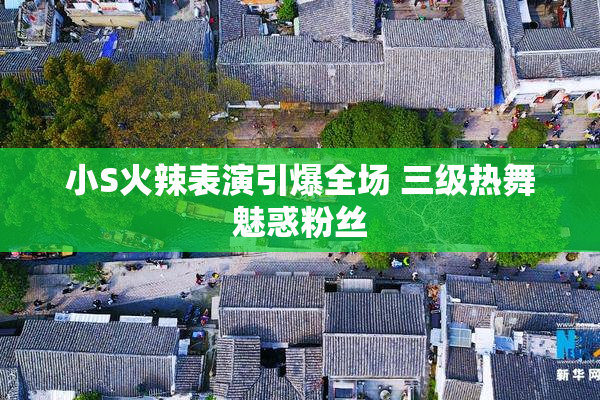 小S火辣表演引爆全场 三级热舞魅惑粉丝