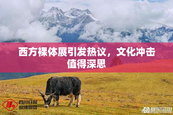西方裸体展引发热议，文化冲击值得深思