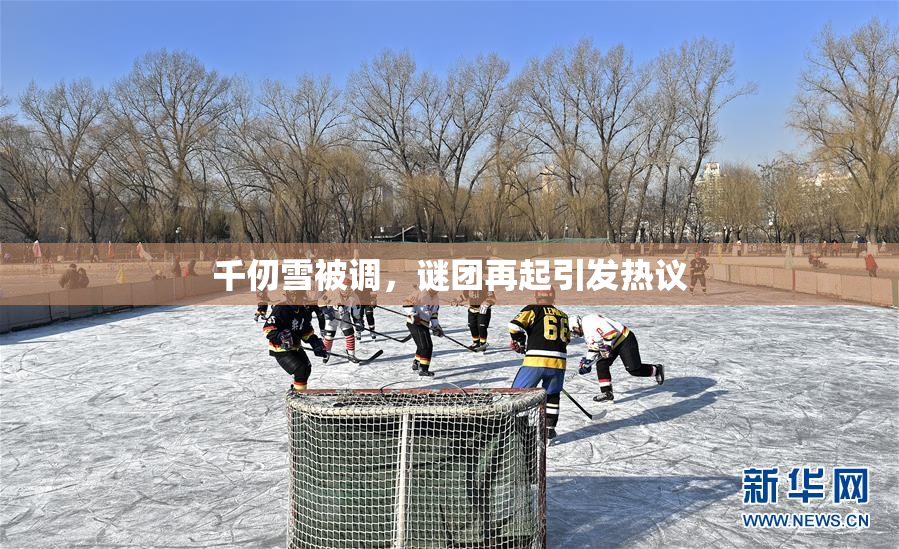 千仞雪被调，谜团再起引发热议