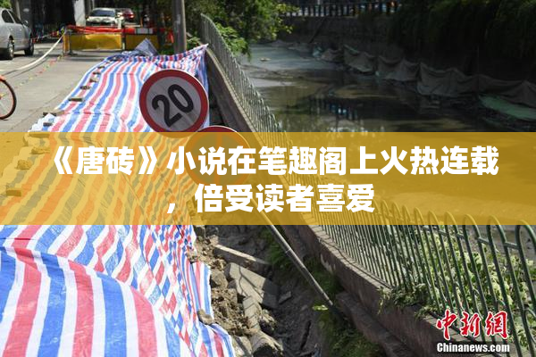 《唐砖》小说在笔趣阁上火热连载，倍受读者喜爱