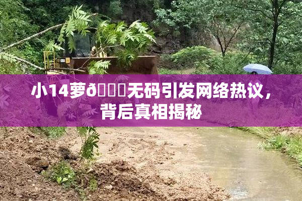 小14萝🔞无码引发网络热议，背后真相揭秘