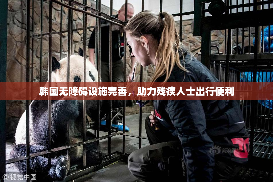 韩国无障碍设施完善，助力残疾人士出行便利